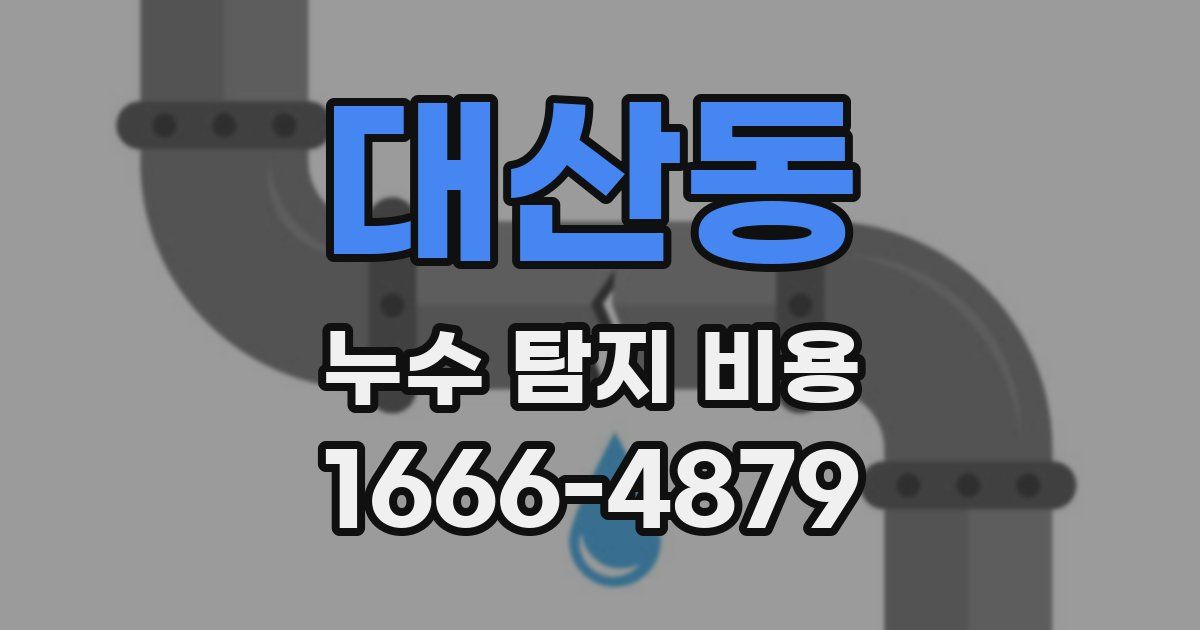 대산동 누수 탐지 비용