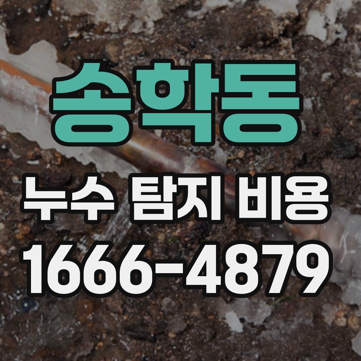 송학동 누수 탐지 비용