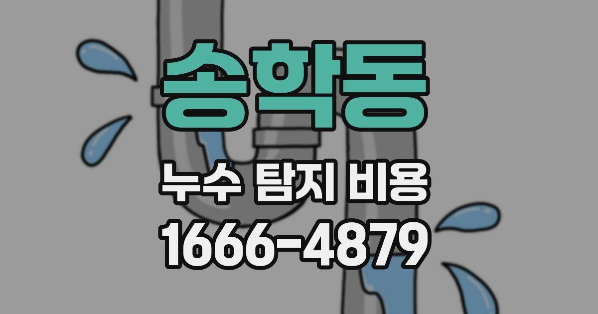 송학동 누수 탐지 비용