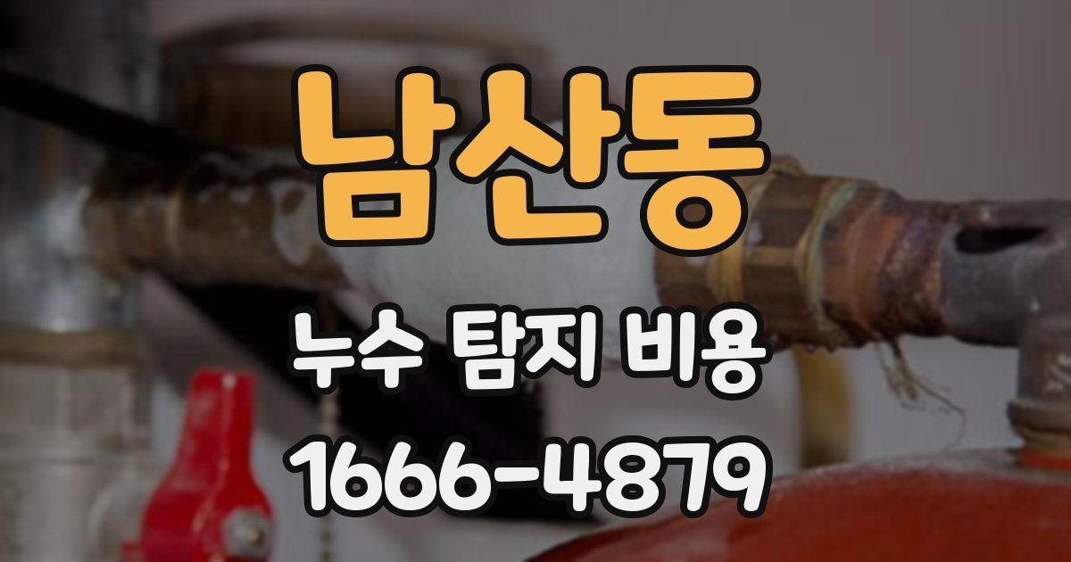 남산동 누수 탐지 비용