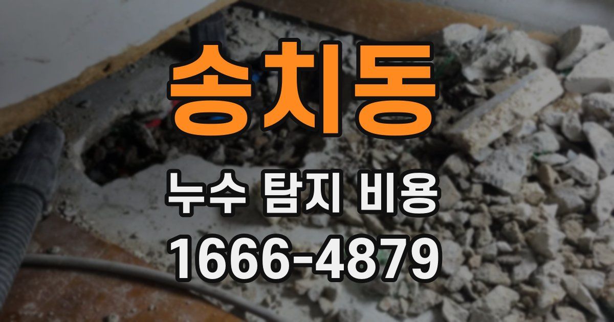 송치동 누수 탐지 비용