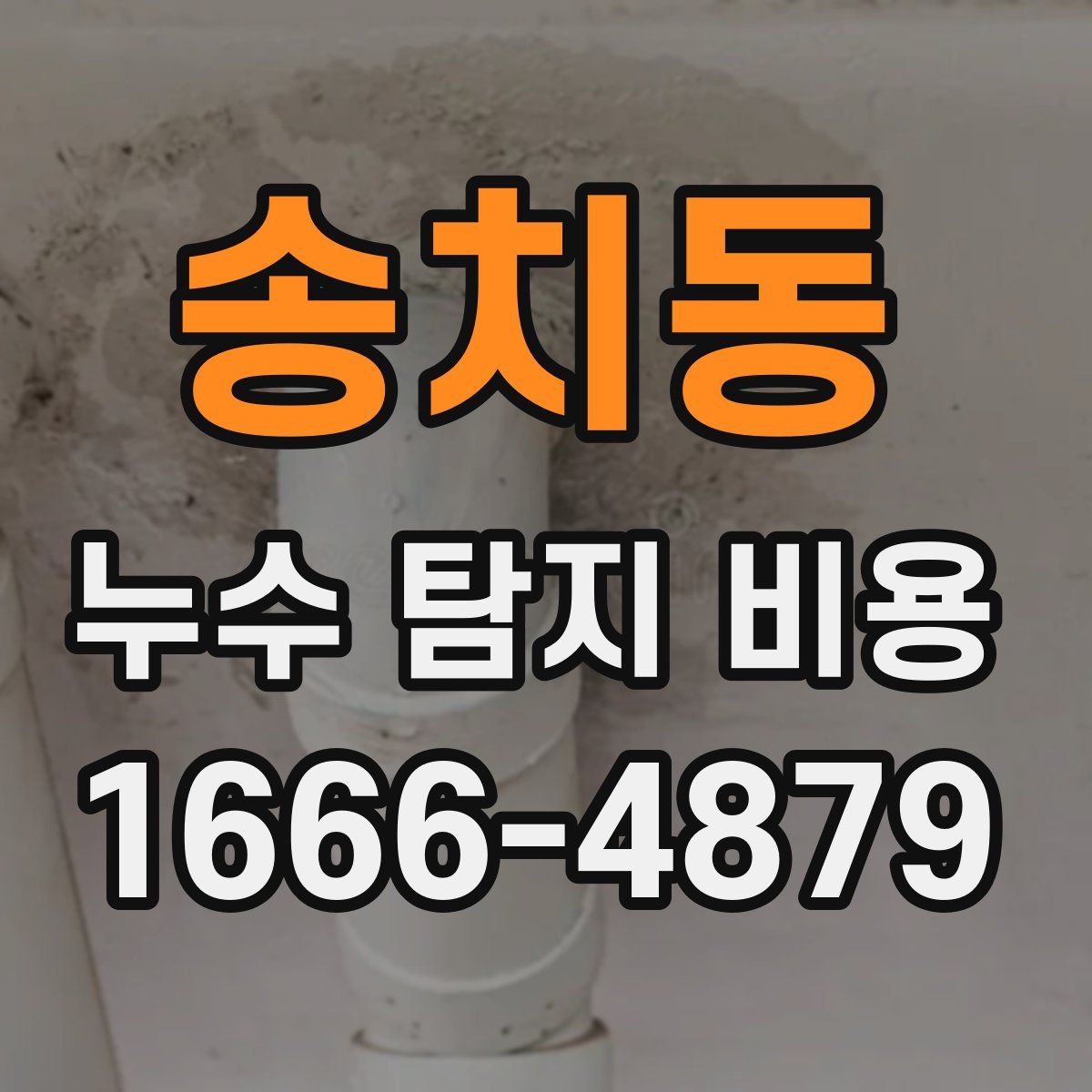 송치동 누수 탐지 비용