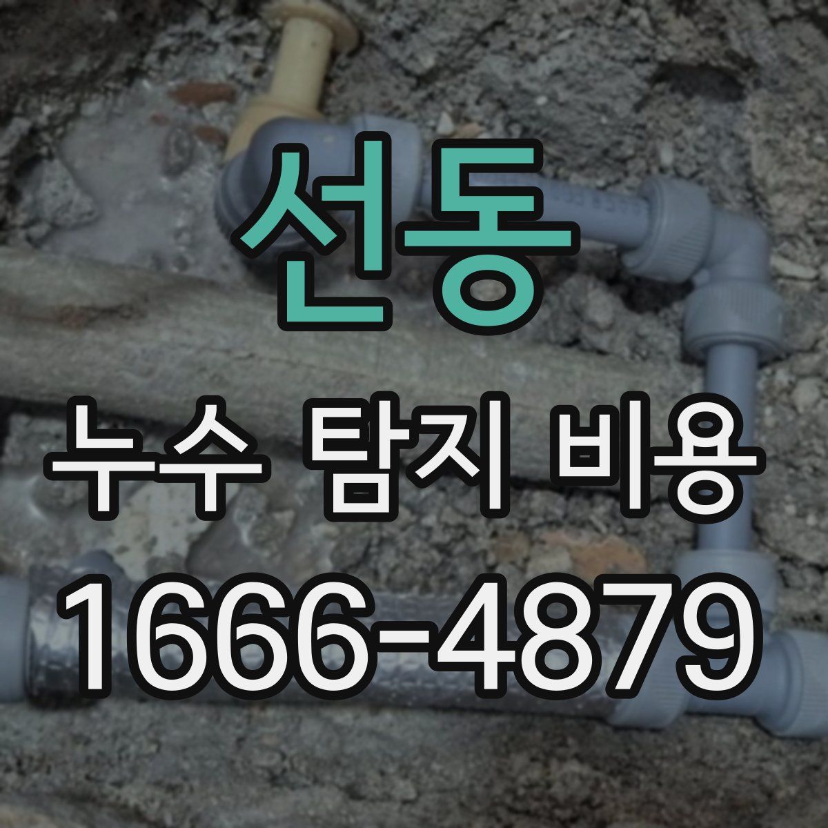 선동 누수 탐지 비용