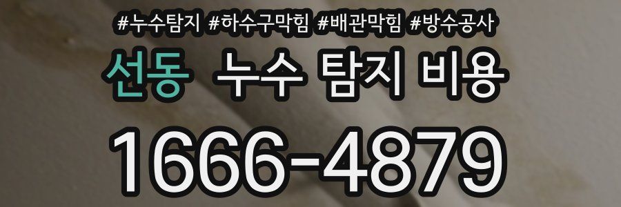 선동 누수 탐지 비용