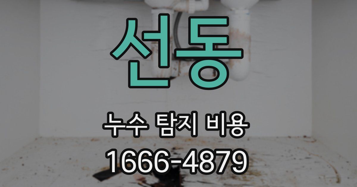 선동 누수 탐지 비용