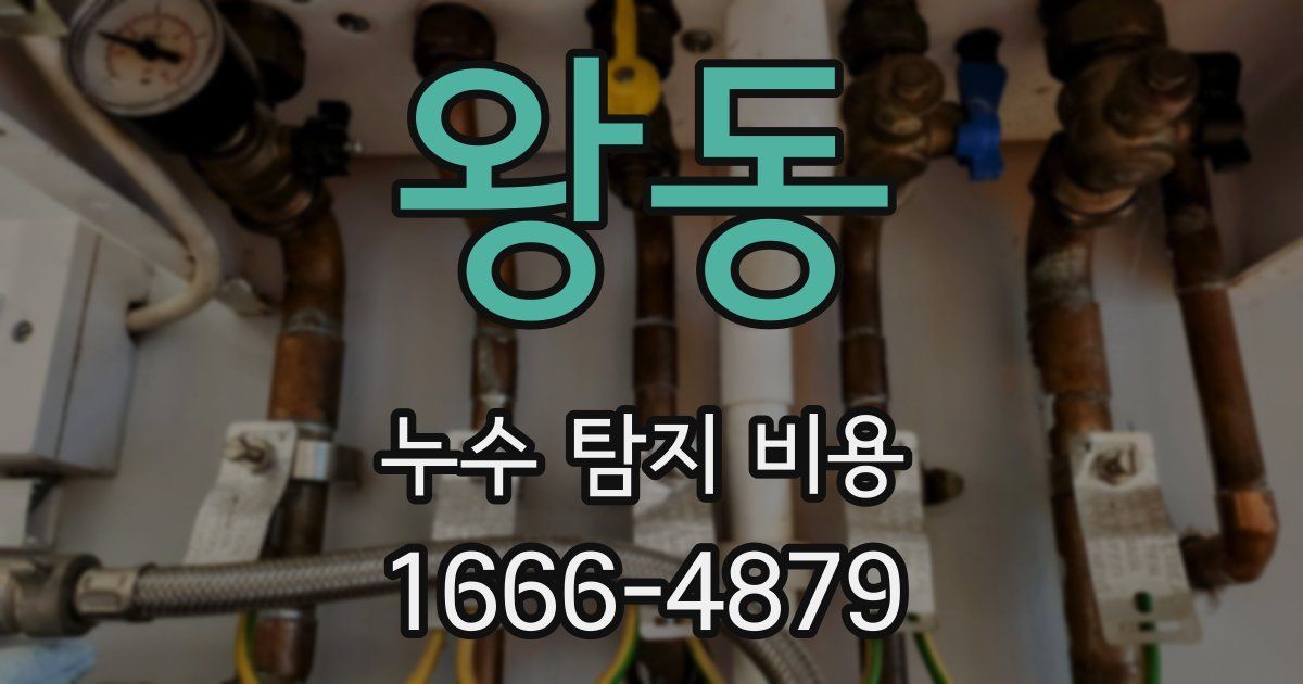 왕동 누수 탐지 비용