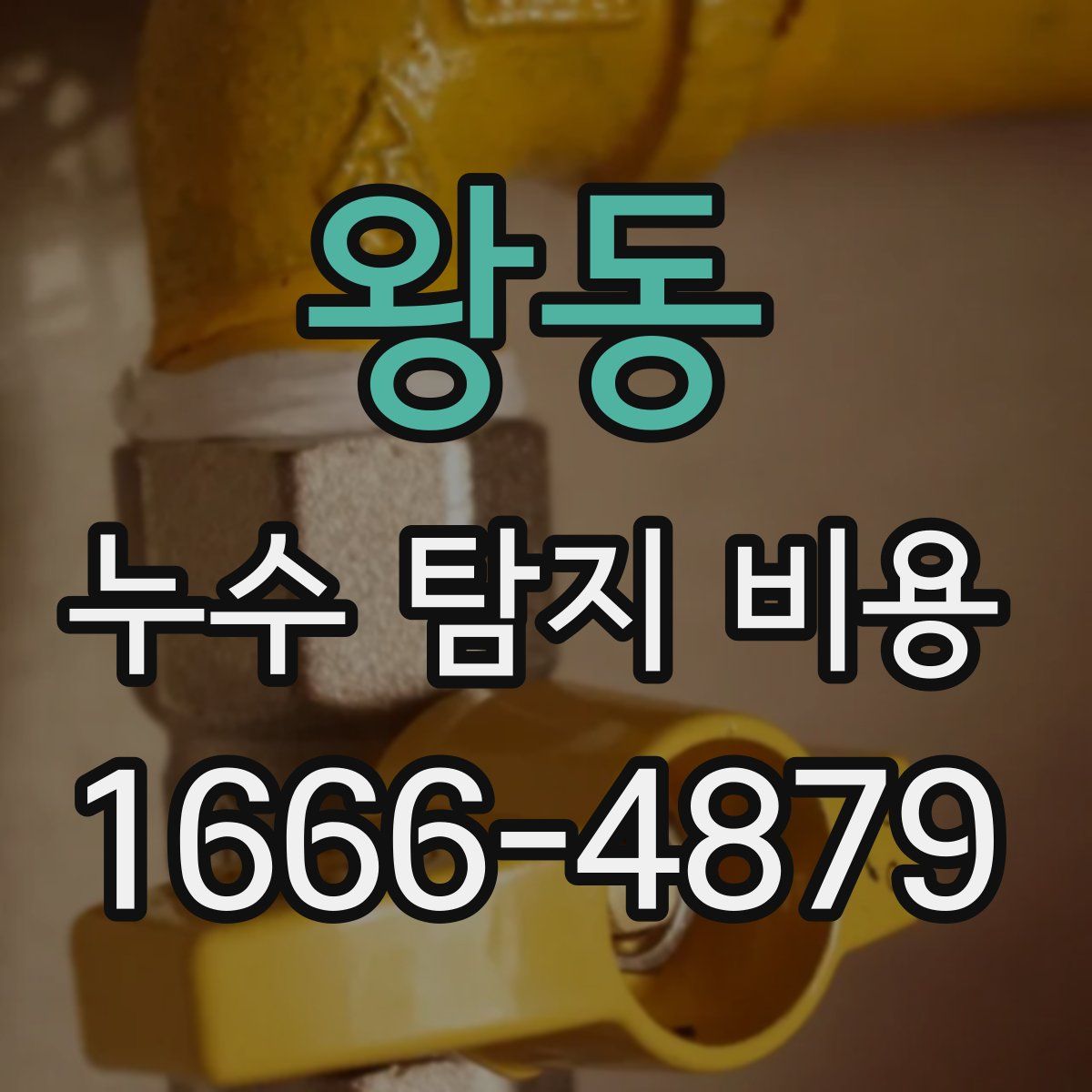 왕동 누수 탐지 비용