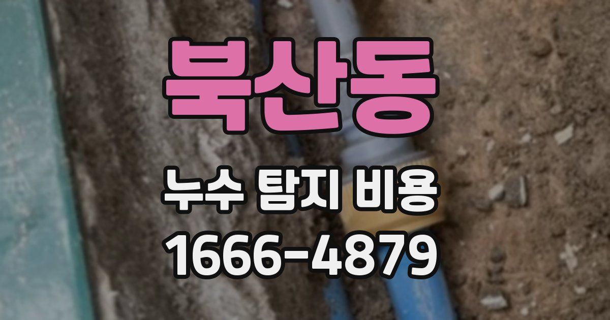 북산동 누수 탐지 비용