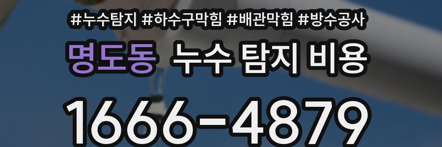 명도동 누수 탐지 비용