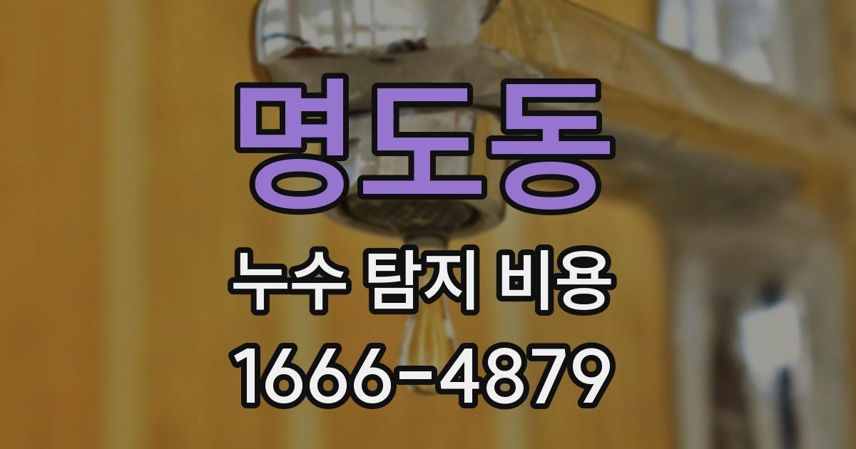 명도동 누수 탐지 비용