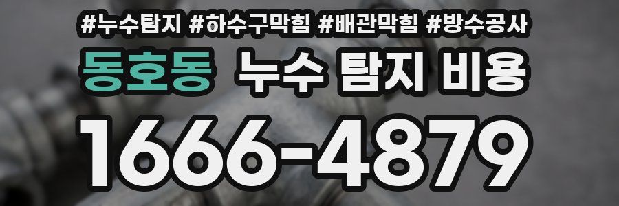 동호동 누수 탐지 비용
