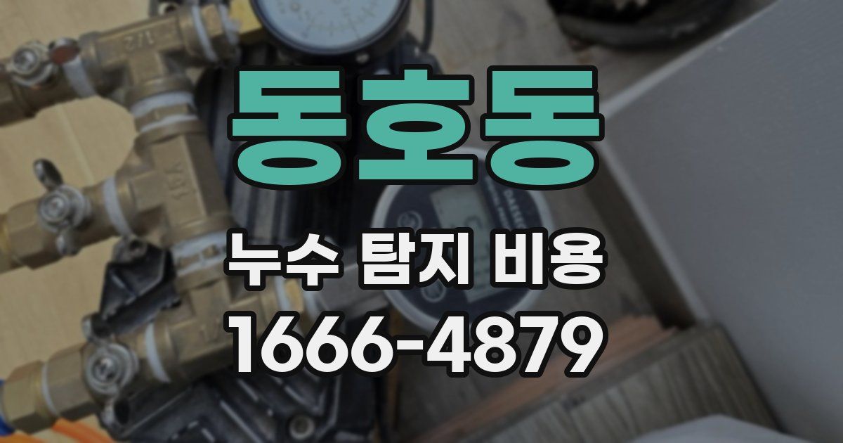 동호동 누수 탐지 비용
