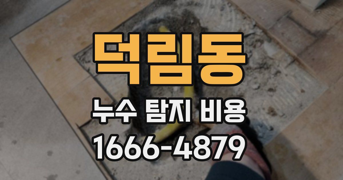 덕림동 누수 탐지 비용