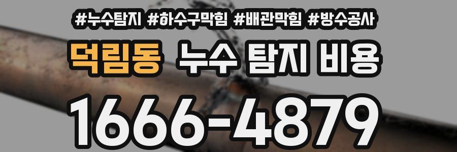 덕림동 누수 탐지 비용