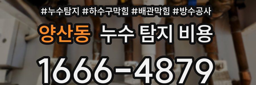 양산동 누수 탐지 비용
