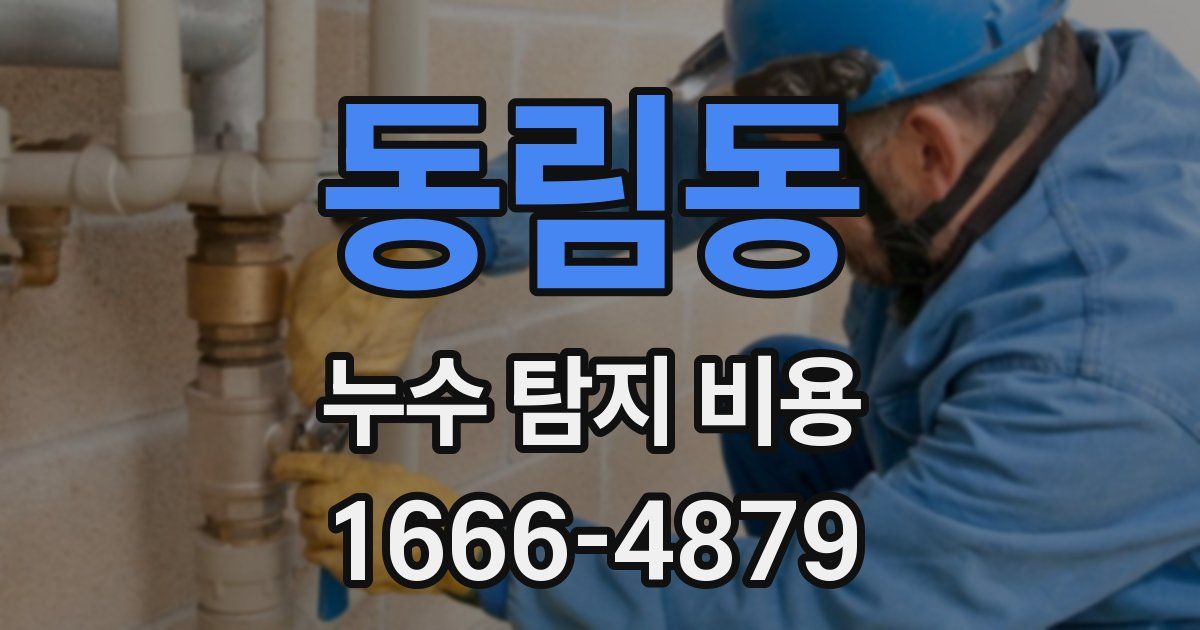 동림동 누수 탐지 비용