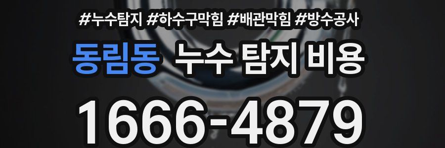 동림동 누수 탐지 비용