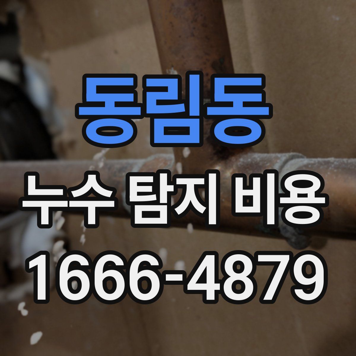동림동 누수 탐지 비용