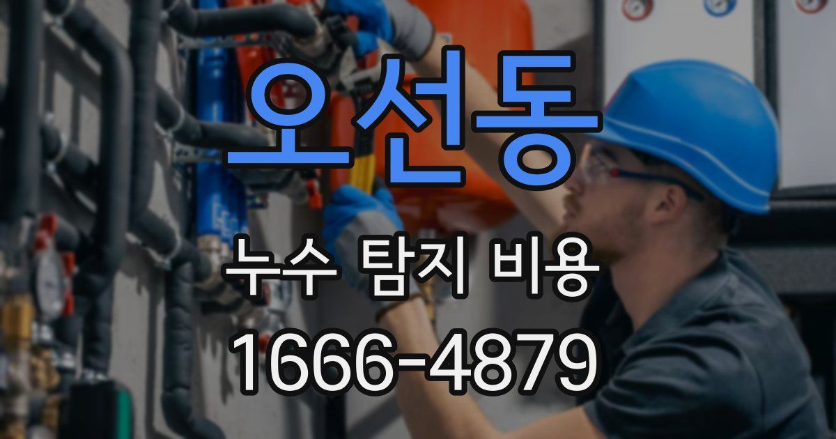 오선동 누수 탐지 비용