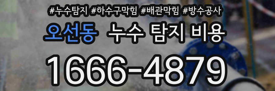 오선동 누수 탐지 비용