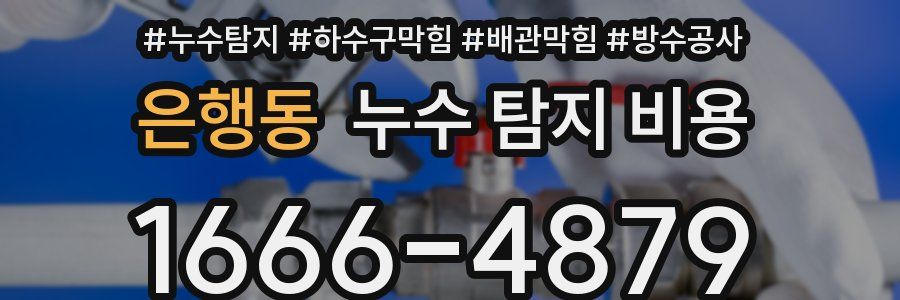 은행동 누수 탐지 비용