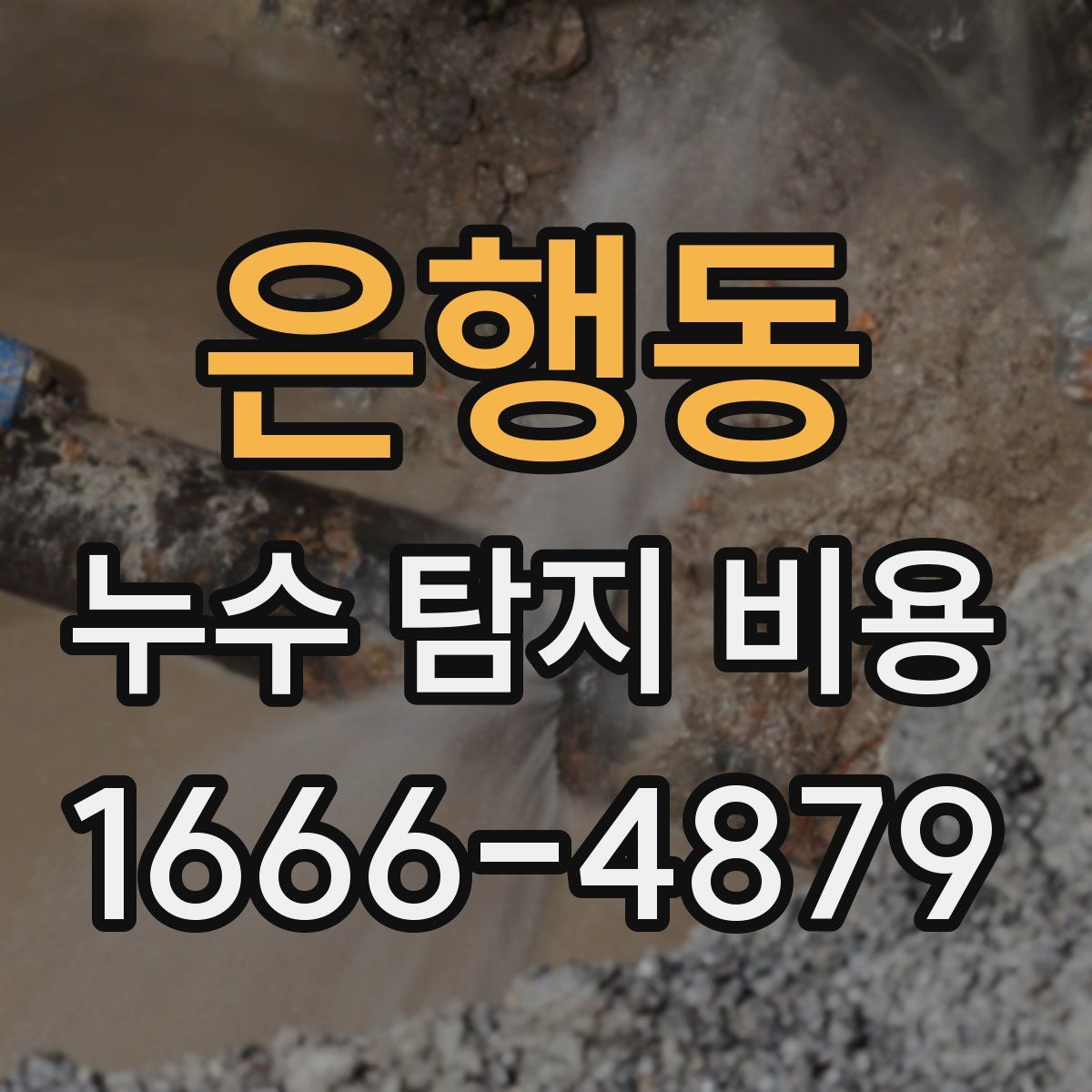 은행동 누수 탐지 비용