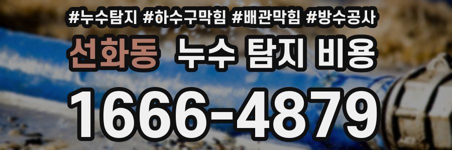 선화동 누수 탐지 비용