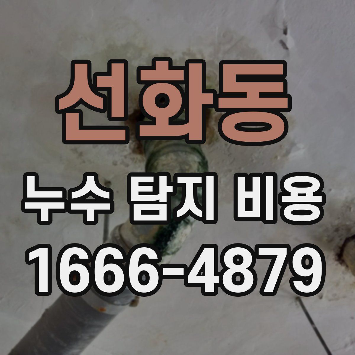 선화동 누수 탐지 비용