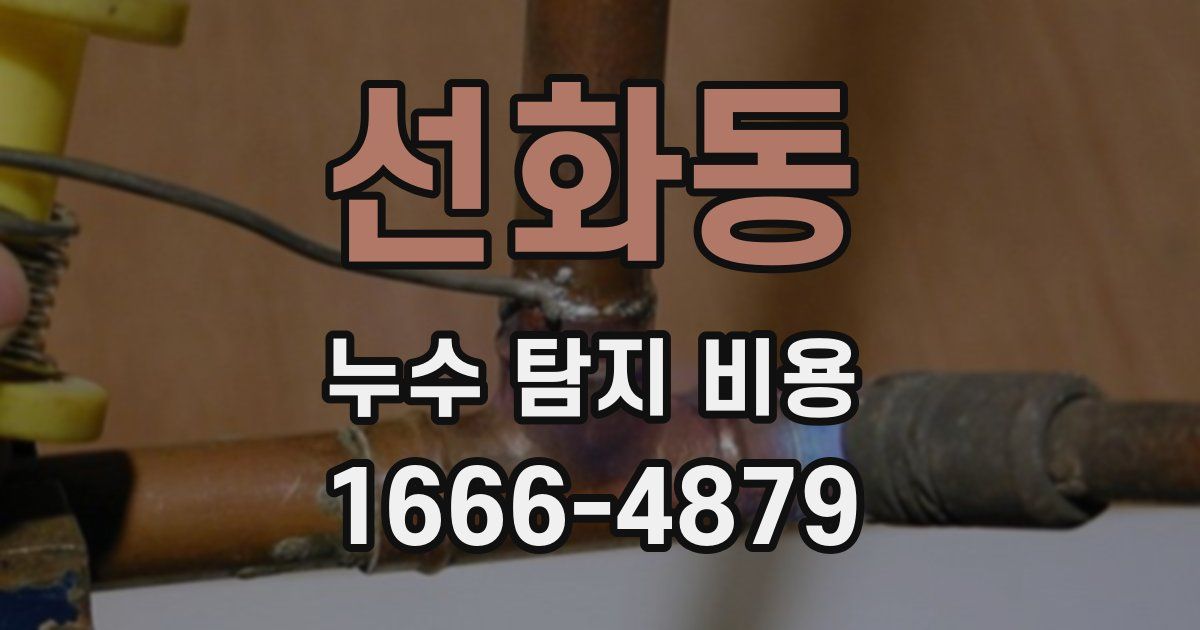 선화동 누수 탐지 비용