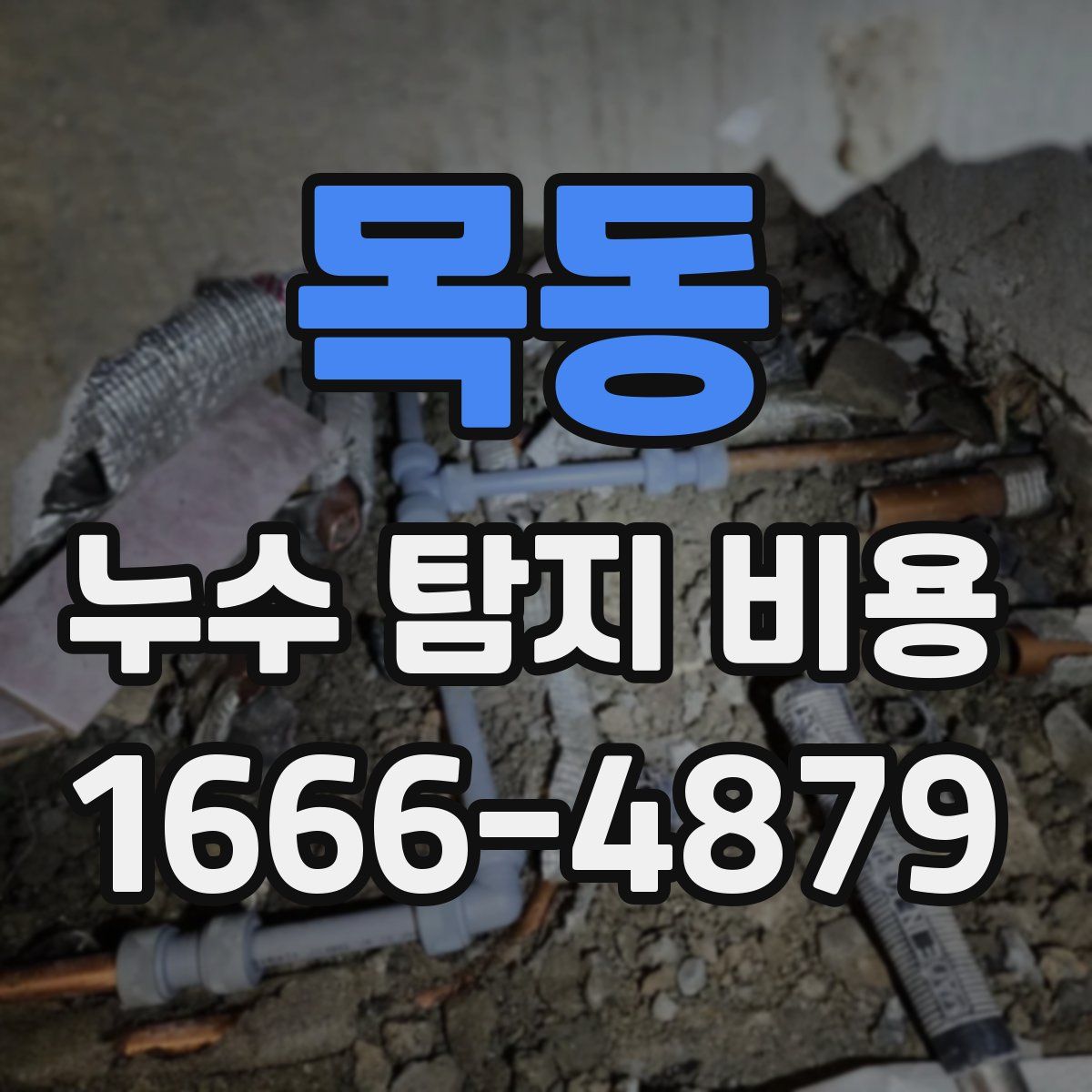 목동 누수 탐지 비용