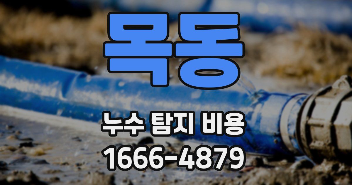 목동 누수 탐지 비용