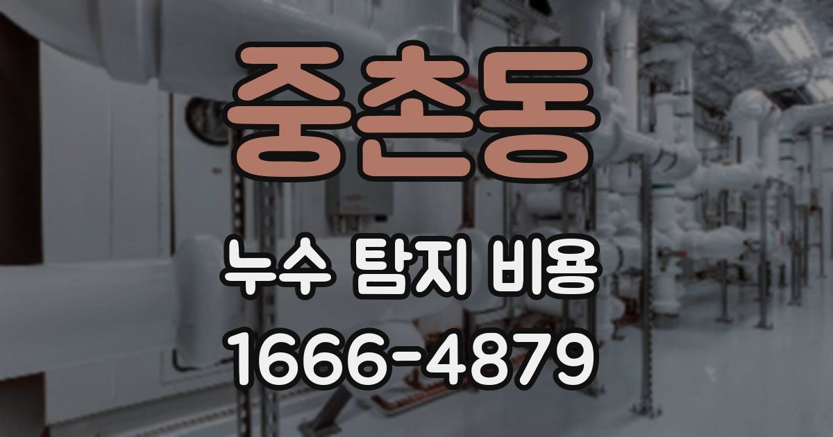중촌동 누수 탐지 비용