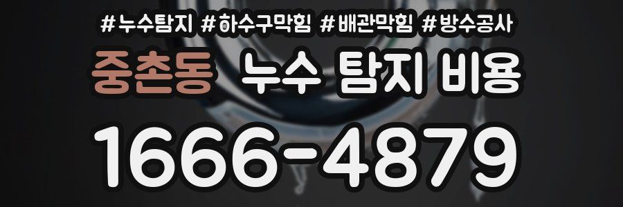 중촌동 누수 탐지 비용