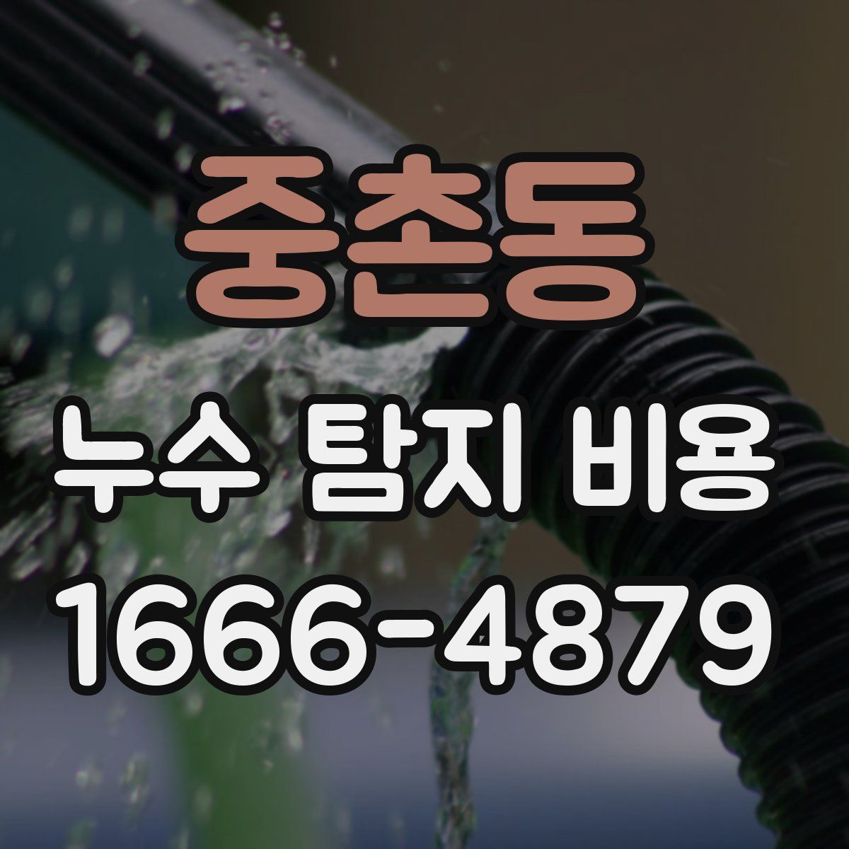 중촌동 누수 탐지 비용