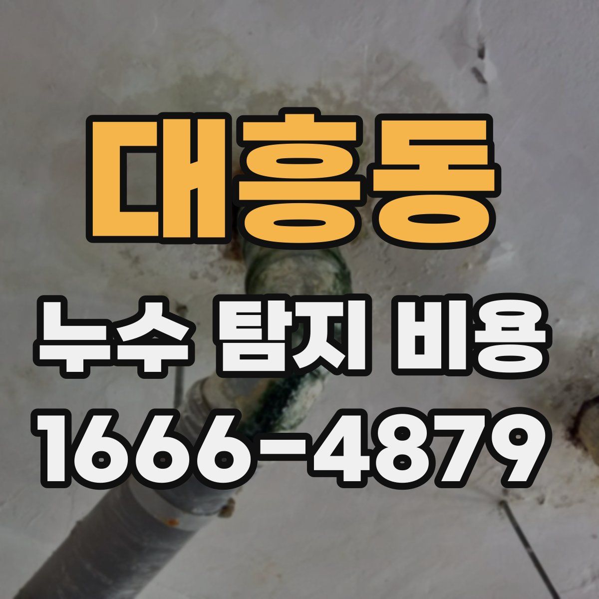 대흥동 누수 탐지 비용