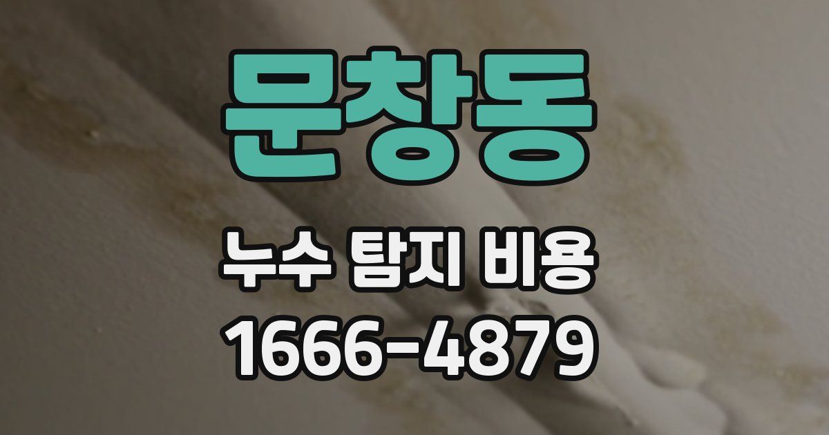 문창동 누수 탐지 비용