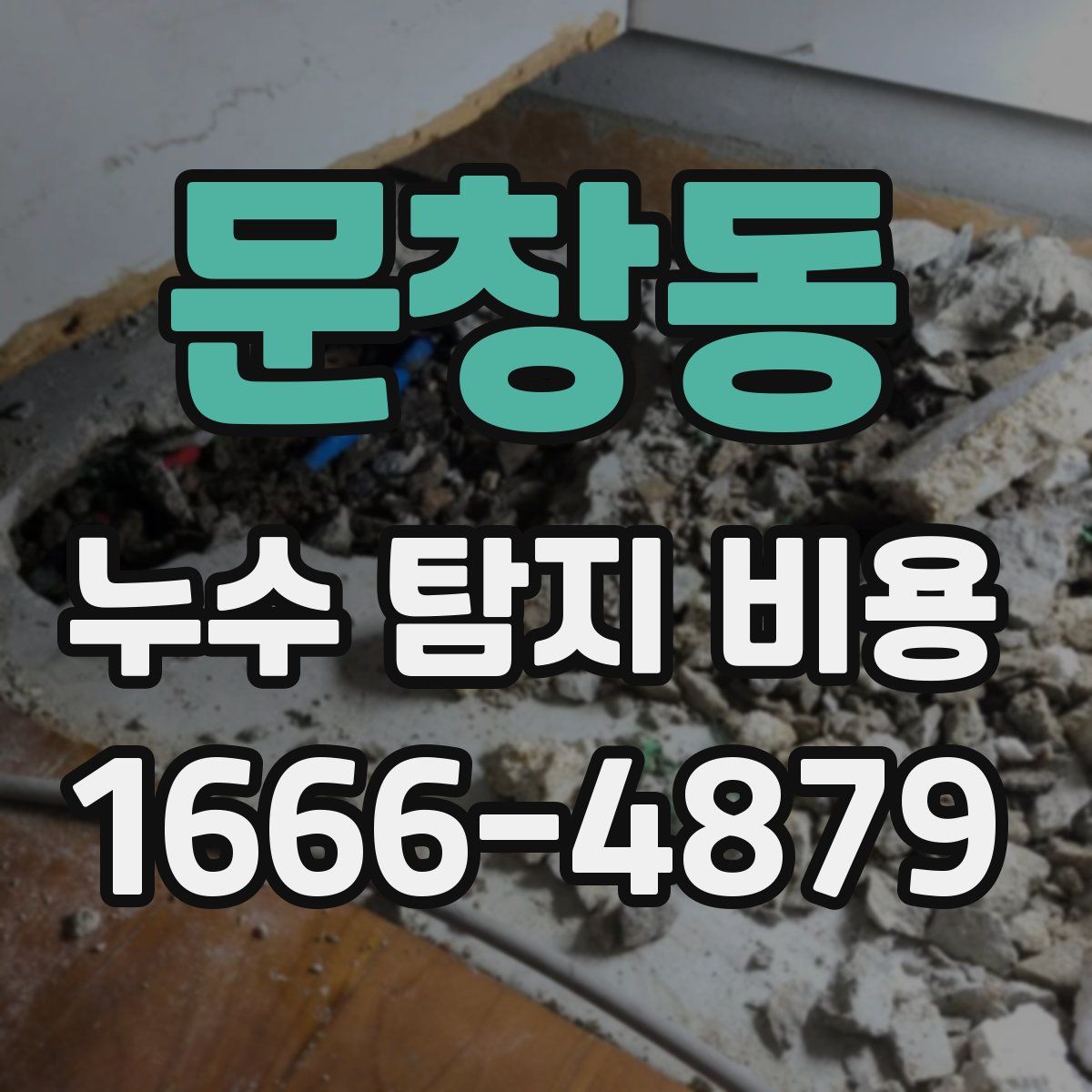 문창동 누수 탐지 비용