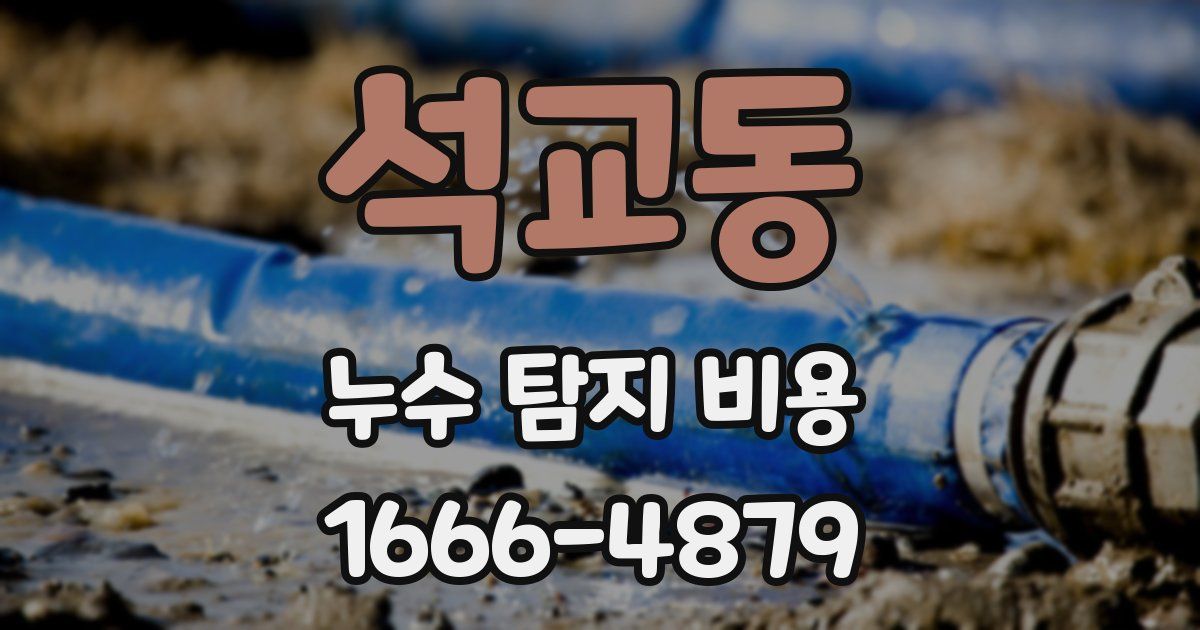 석교동 누수 탐지 비용