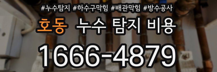 호동 누수 탐지 비용