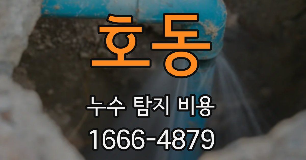 호동 누수 탐지 비용
