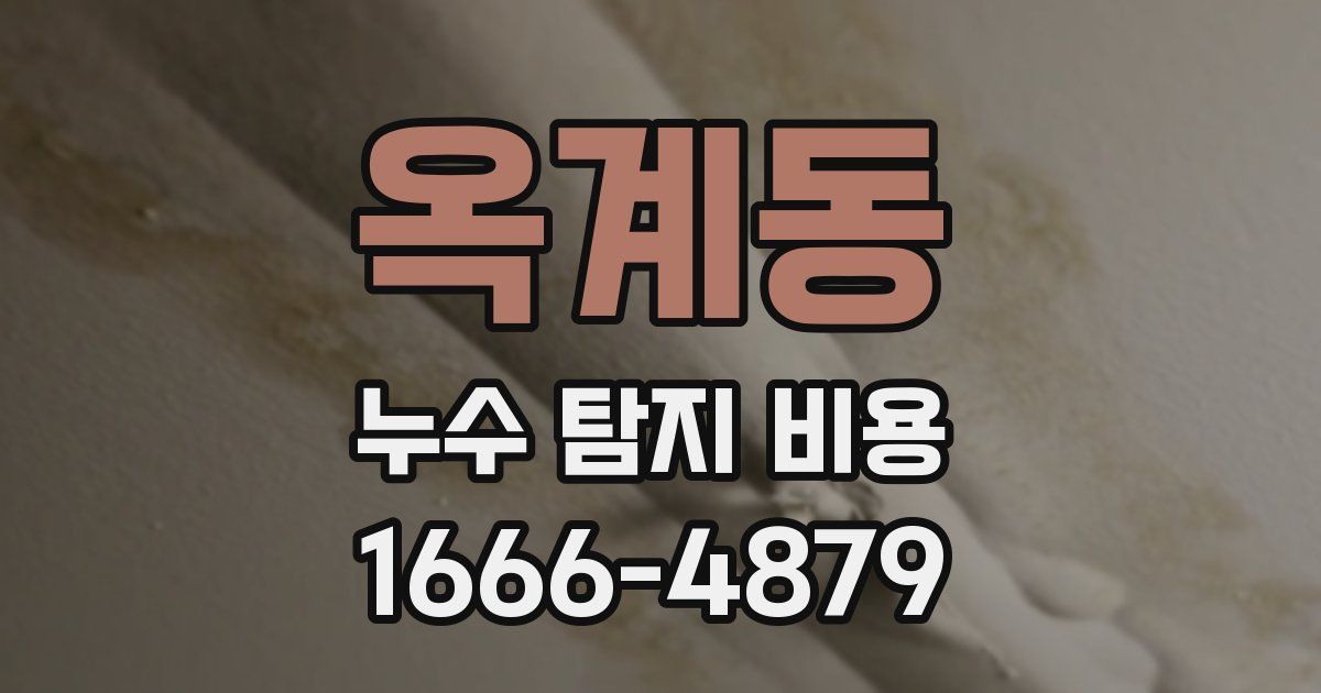 옥계동 누수 탐지 비용