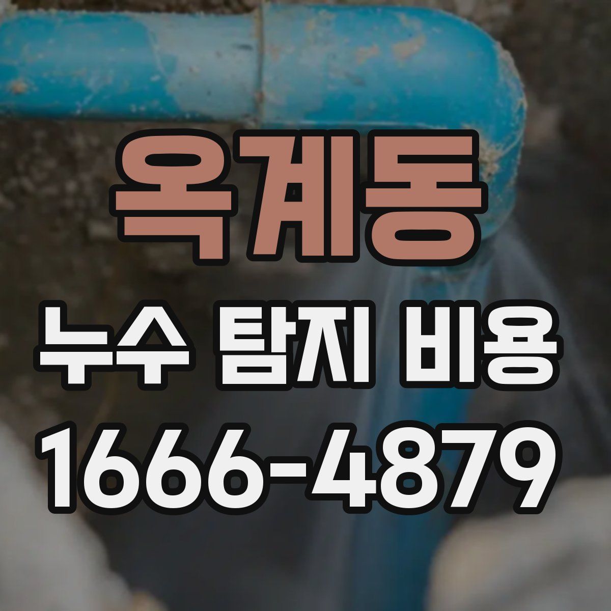 옥계동 누수 탐지 비용