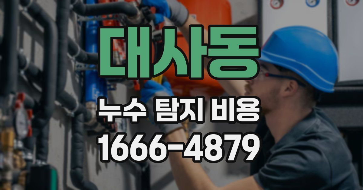 대사동 누수 탐지 비용