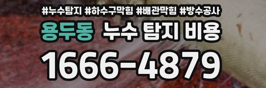 용두동 누수 탐지 비용