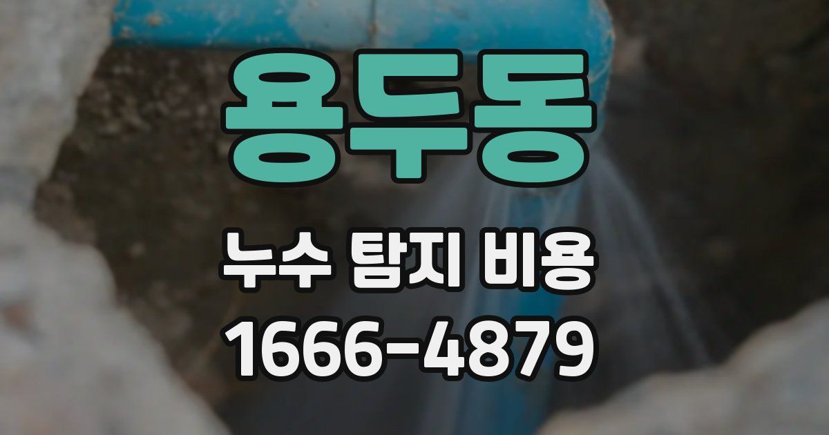 용두동 누수 탐지 비용