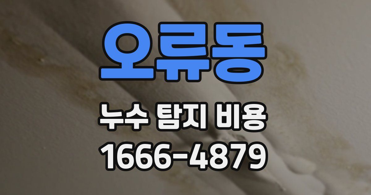 오류동 누수 탐지 비용