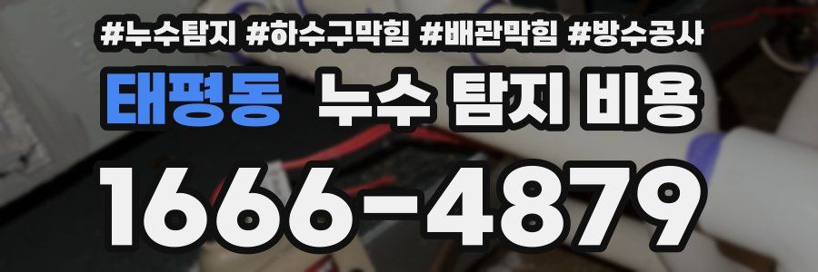태평동 누수 탐지 비용