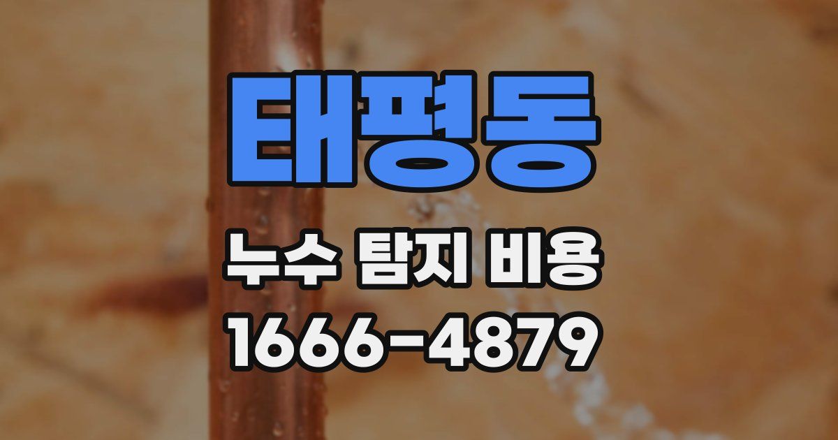 태평동 누수 탐지 비용