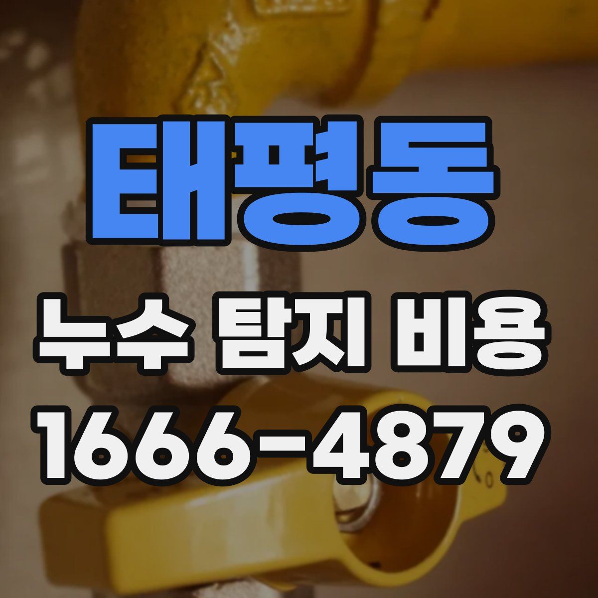 태평동 누수 탐지 비용