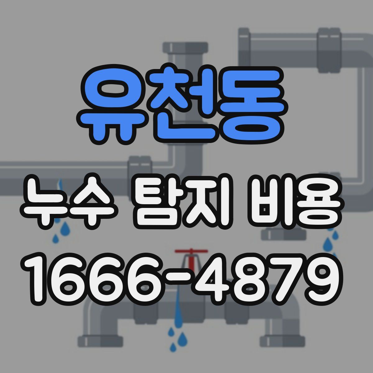 유천동 누수 탐지 비용